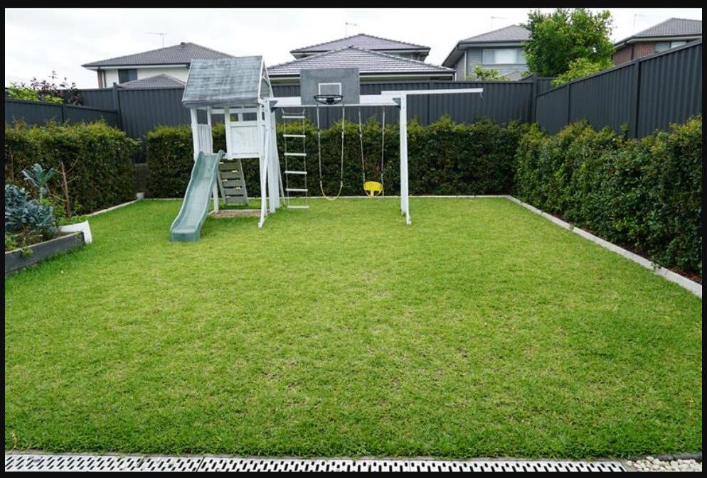 Backyard at an Enable Hub SIL home in Windsor